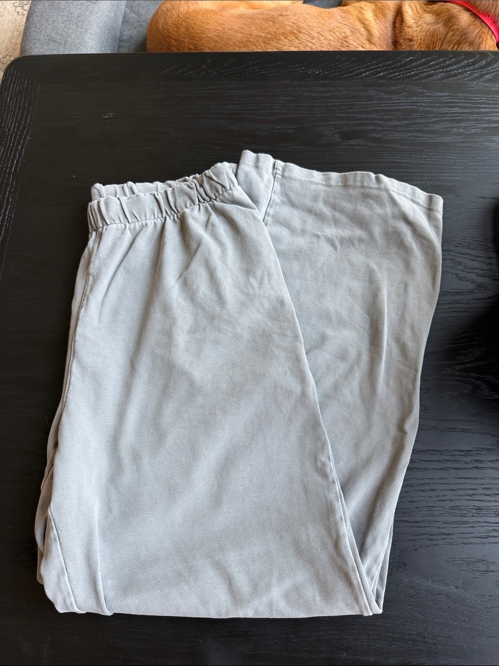 Brandy Melville Light Gray Elastic Waist Pants